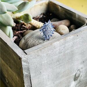 Elegant White Gold and Tanzanite Women's Ring